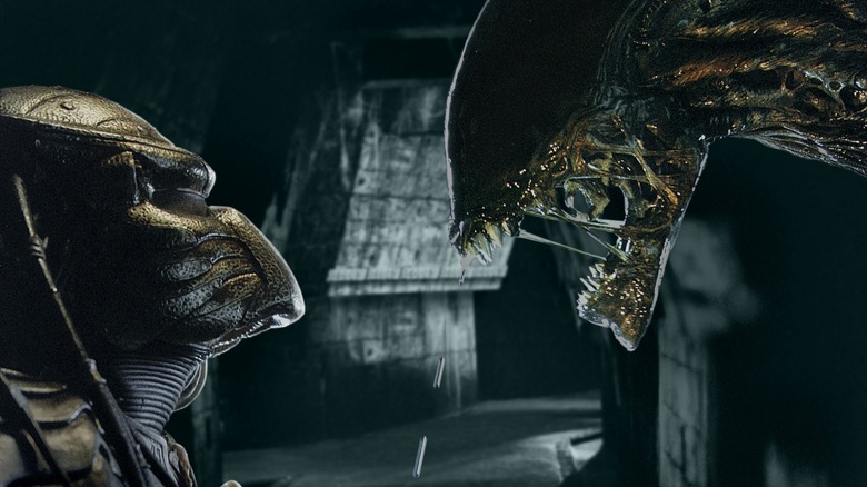 The Predator and Alien meet face-to-face