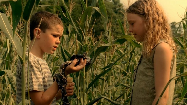 Boy and girl standing in cornfield