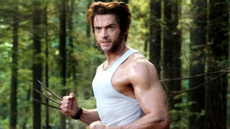 Wolverine wielding claws in forest