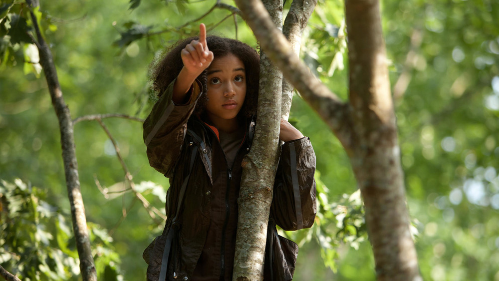 Rue standing in a tree