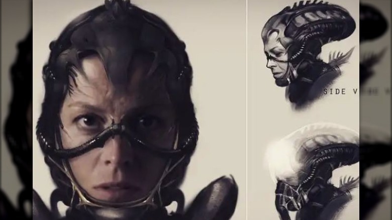 Ripley Blomkamp